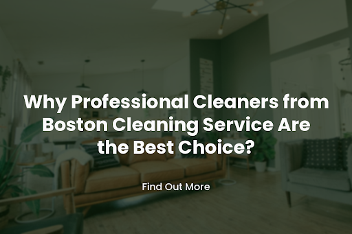 Boston Cleaning Service