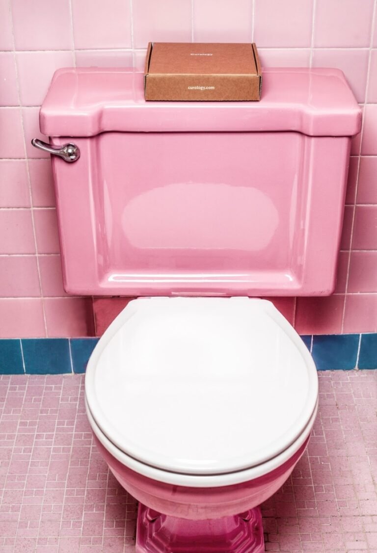 Portable Toilet for Home Use – Buyer’s Guide