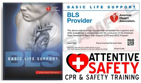 BLS Provider Training What to Expect and How to Prepare