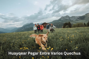 Huayqear Pegar Entre Varios Quechua