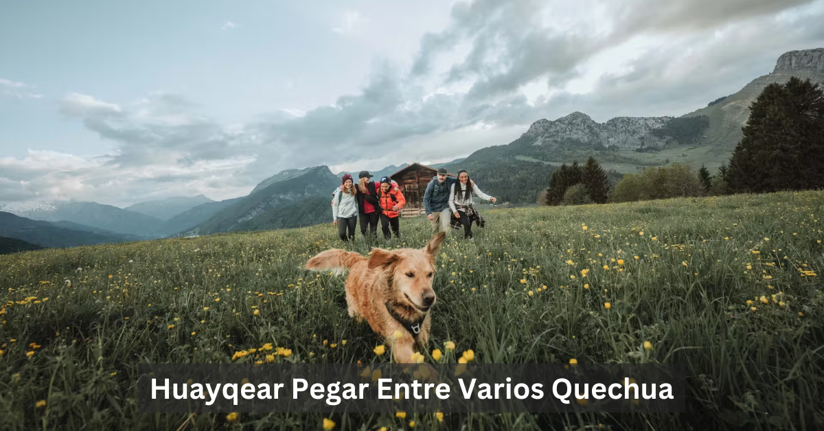 Huayqear Pegar Entre Varios Quechua