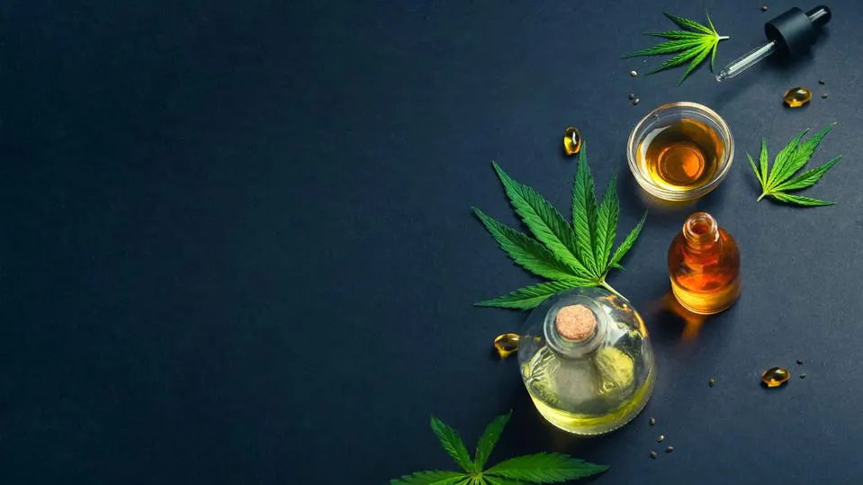 How to Adjust CBD Oil for Pain Canada into Your Routine?