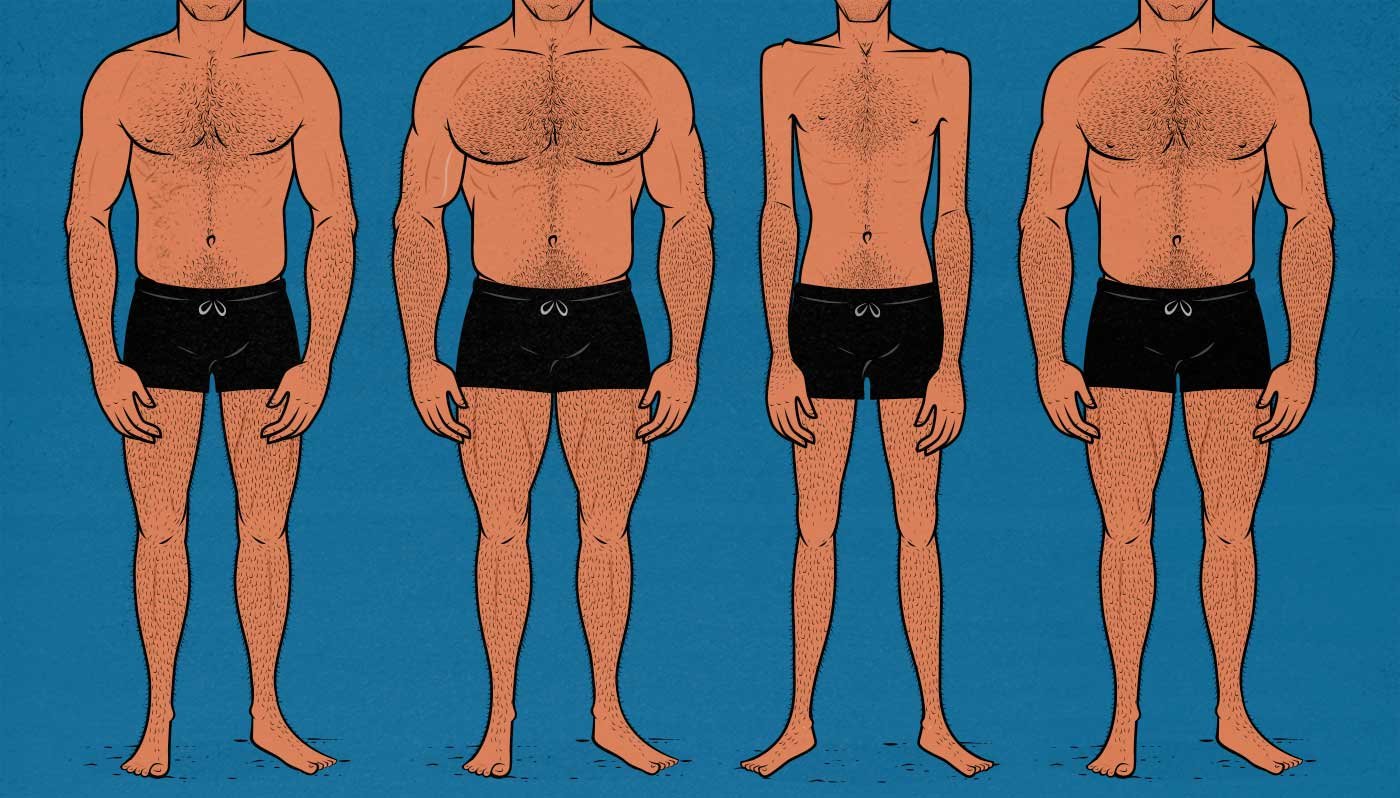 Determine Your Body Type