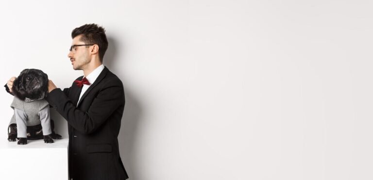 How A Dog Attack Lawyer Can Help You Navigate The Legal Process