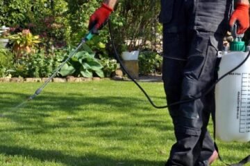 Weed Removal