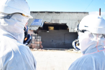 Asbestos Removal