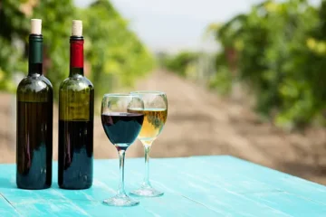 The Ultimate Guide to Choosing Organic Wines for Every Occasion