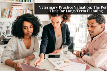 Veterinary Practice Valuation