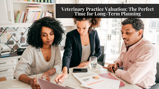 Veterinary Practice Valuation