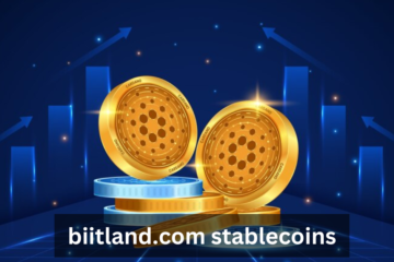 biitland.com stablecoins