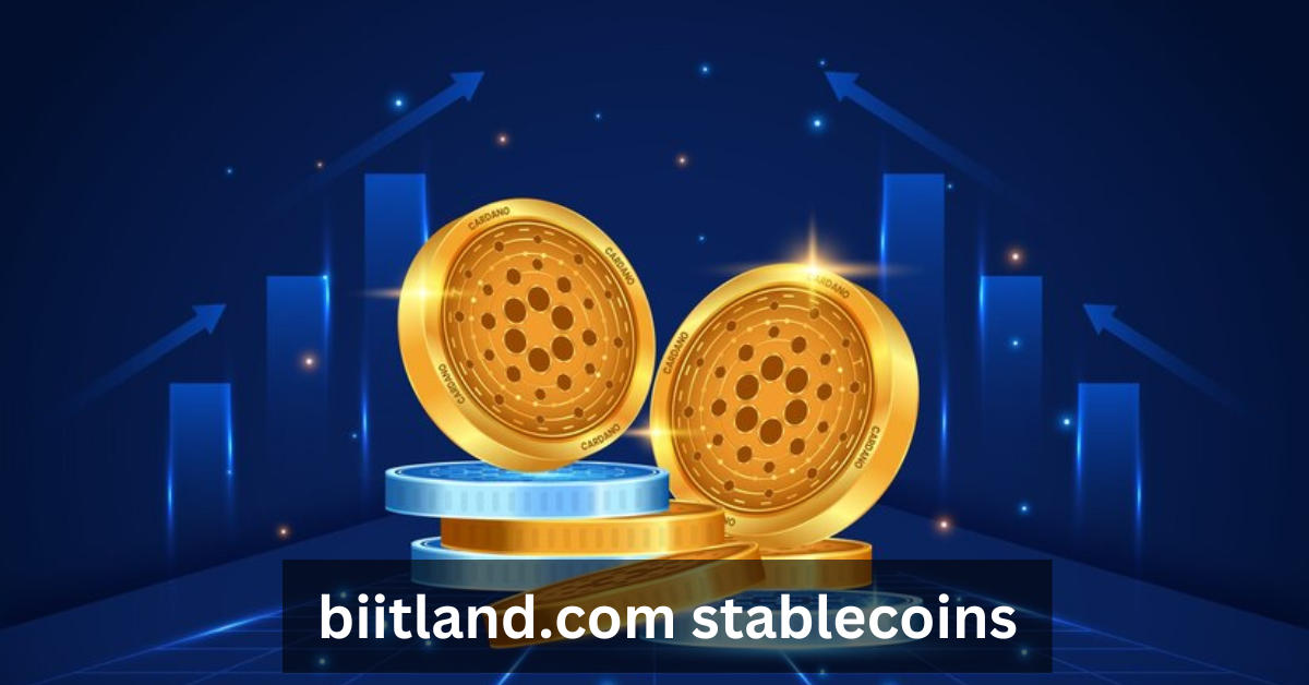 biitland.com stablecoins