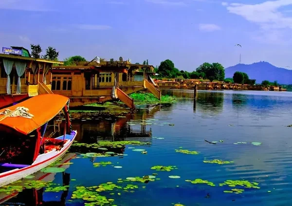 Kashmir Tour Packages From Ahmedabad 