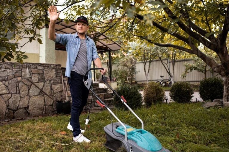Why Professional Lawn Care Services Are Worth the Investment