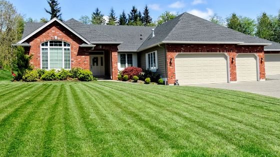 Picture-Perfect Lawn