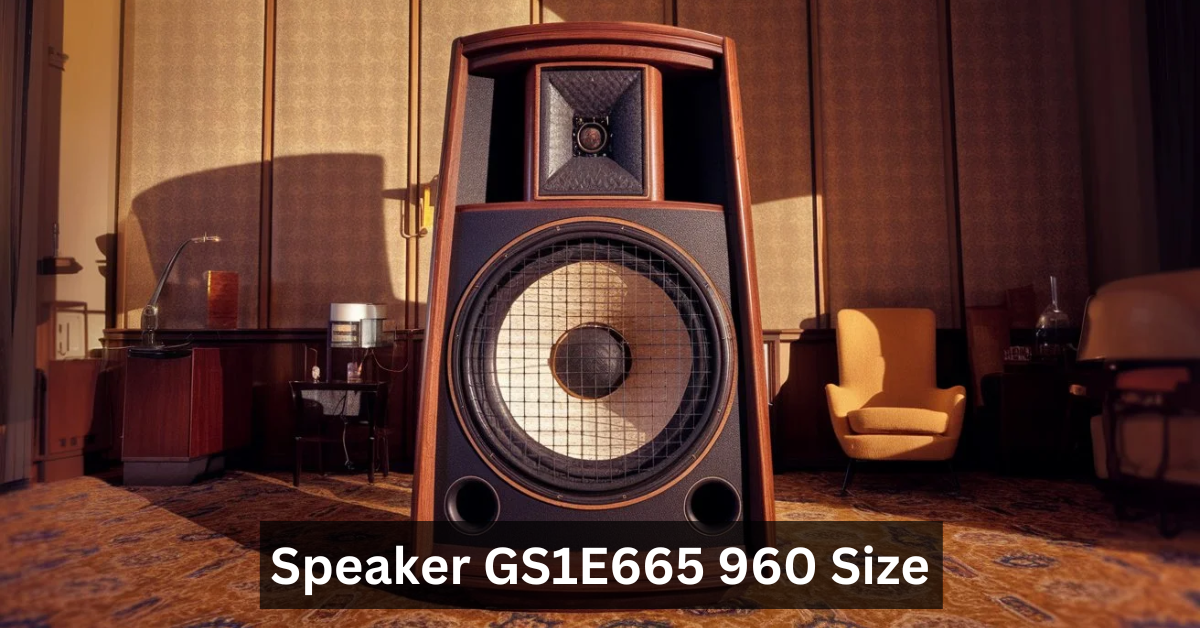 Speaker GS1E665 960 Size