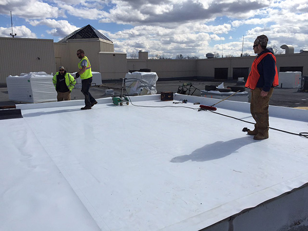 From Ground Up to Roof Down: Paragon Contracting’s Seamless Expansion into Roofing