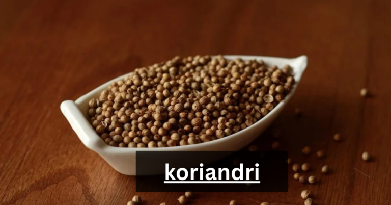 koriandri