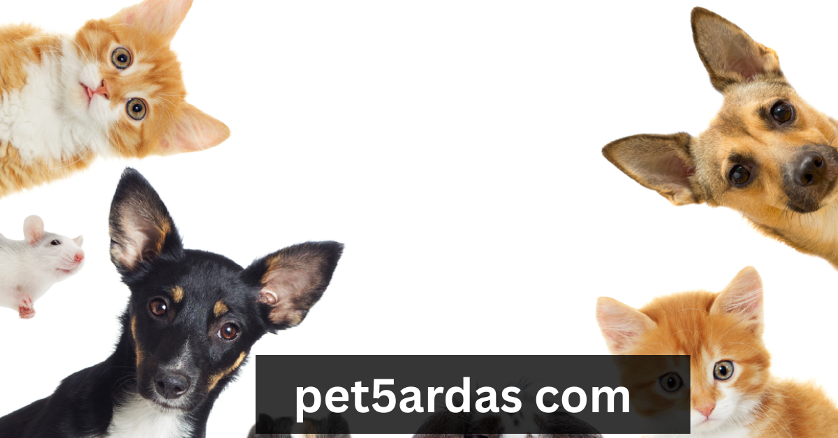 pet5ardas com