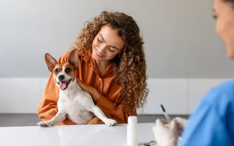 The Connection Between Animal HospitalsAnd Behavioral Health