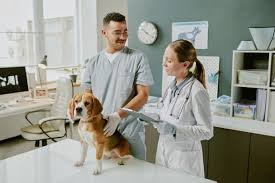 5 Ways Veterinary Urgent Care Improves Peace Of Mind For Owners
