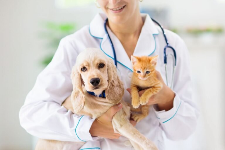 4 Benefits Of Wellness Plans Through Animal Hospitals