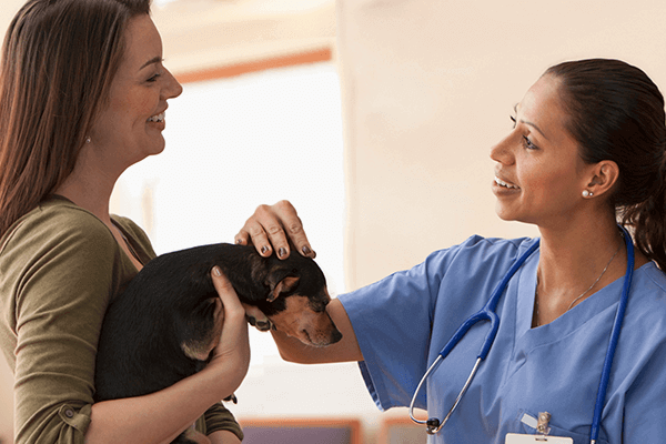 How Vets Address Behavioral Concerns Alongside Medical Needs