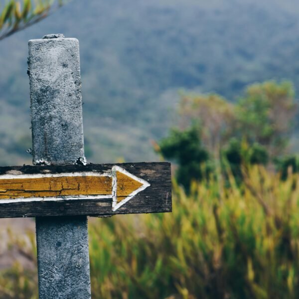 Choosing the Right Path: A Guide to Inpatient and Outpatient Rehab Options