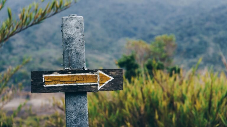 Choosing the Right Path: A Guide to Inpatient and Outpatient Rehab Options