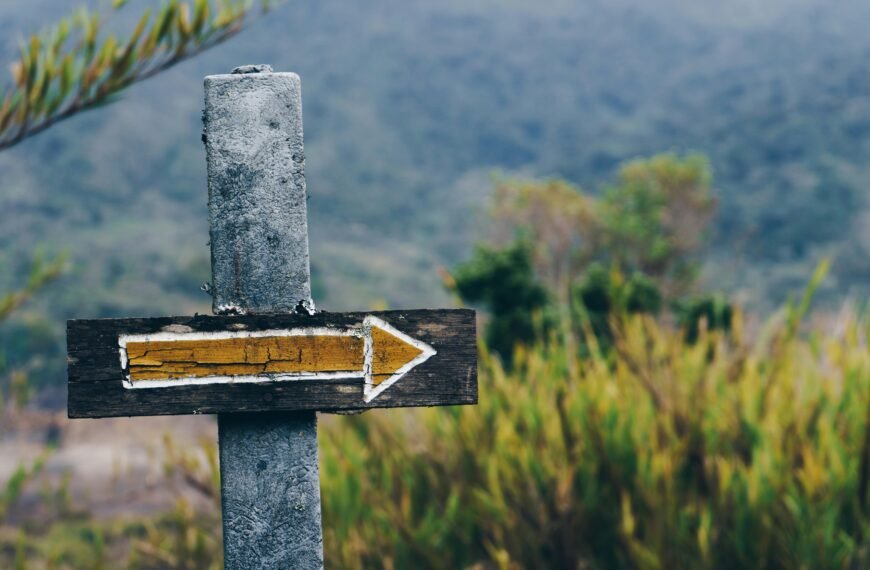 Choosing the Right Path: A Guide to Inpatient and Outpatient Rehab Options
